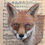 Thumbnail: Adore and be still (Fox)