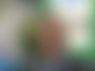 Notre Participation au foires de Vigo 2025