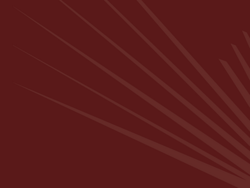 Untitled design (13).png