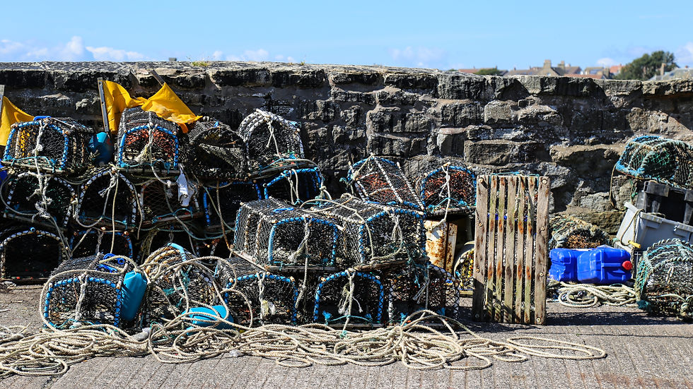 Schottland (31)