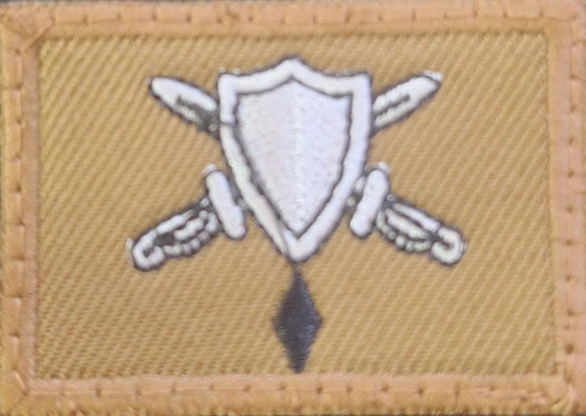 PARCHE SOLDADO DE TROPA PROFESIONAL 1ER AÑO