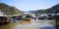 Hong Kong Fish Village.jpg