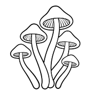 Champignon magique quebec logo