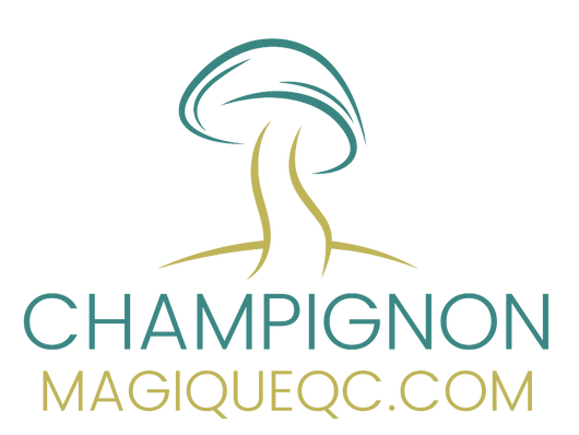 cmq logo NEW with icon.png.webp