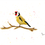 Thumbnail: Gold finch painting print