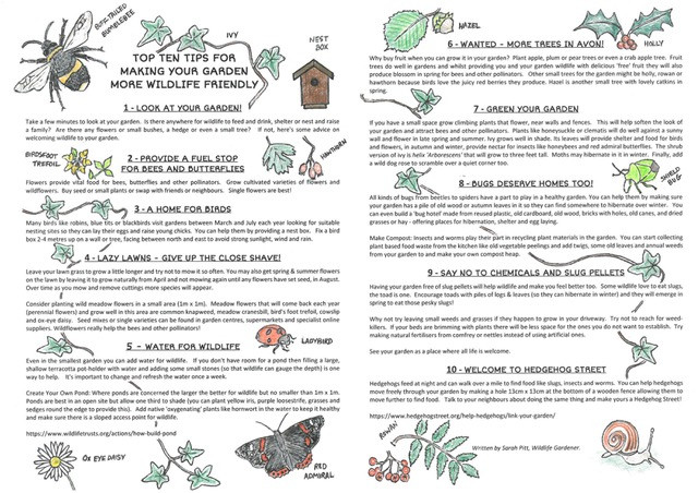 Top Ten Tips for Wildlife Friendly Garden