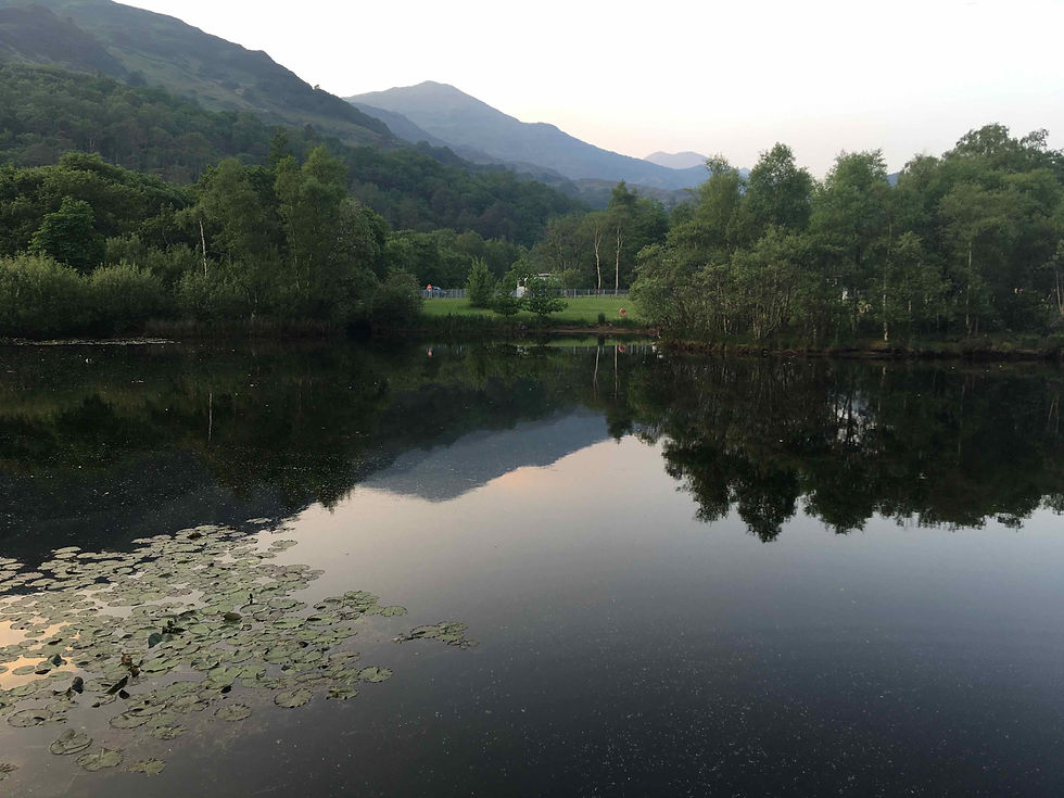 Perfect reflection