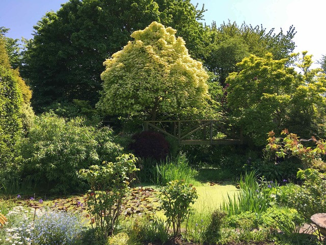 Fifty shades of green
