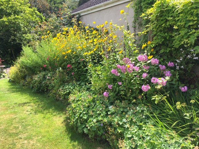 Big herbaceous border in bloom