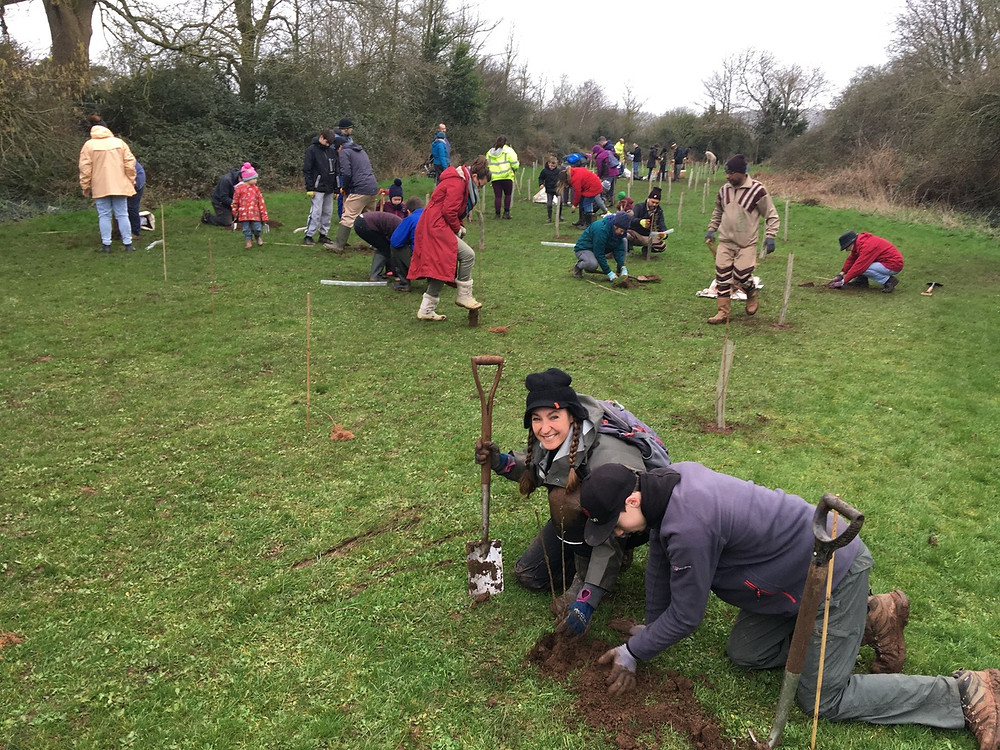 Community planting trees