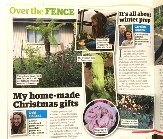 'Over the Fence,' December Garden News magazine