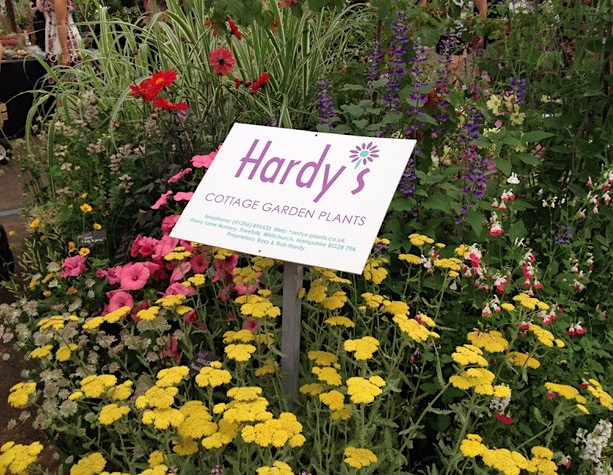 Hardy's Cottage Garden Plants