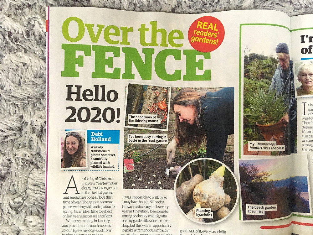 Over the Fence, Garden New magazineJanuary 2020