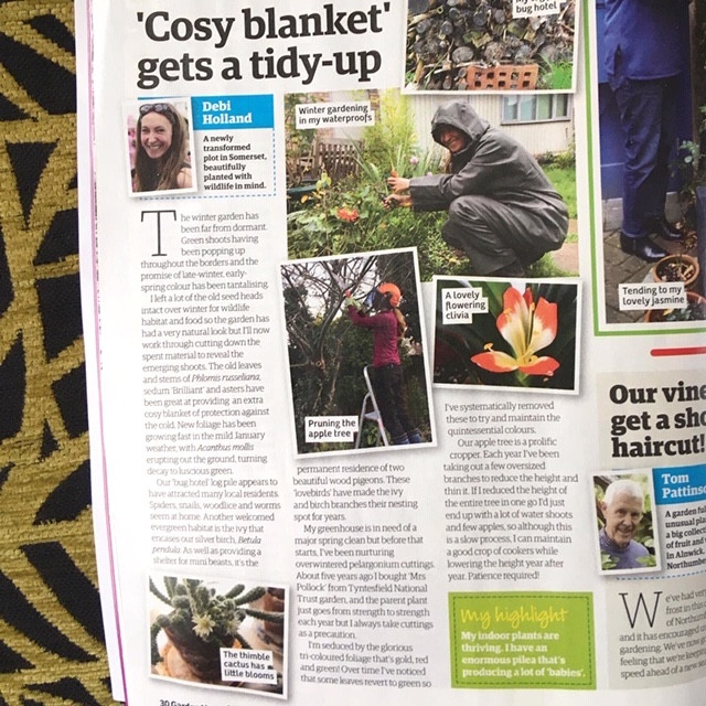 February Garden News magazine 2020