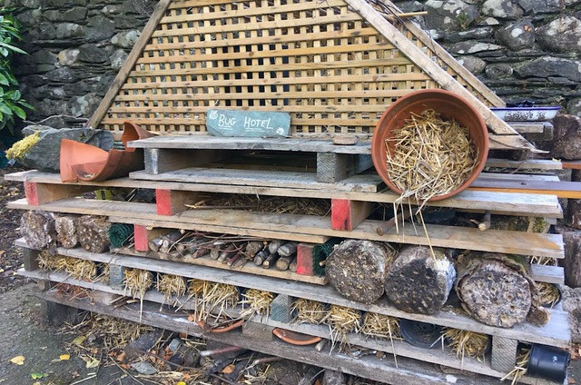 Create a bug hotel