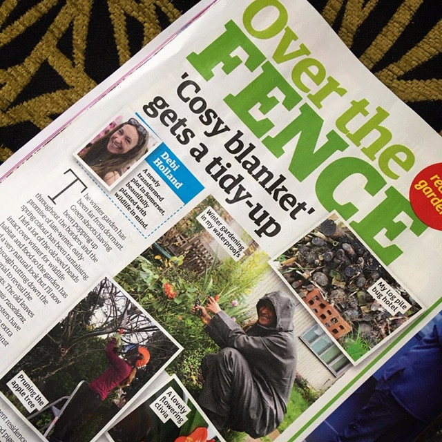 February 2020 Garden News 'Over the Fence'