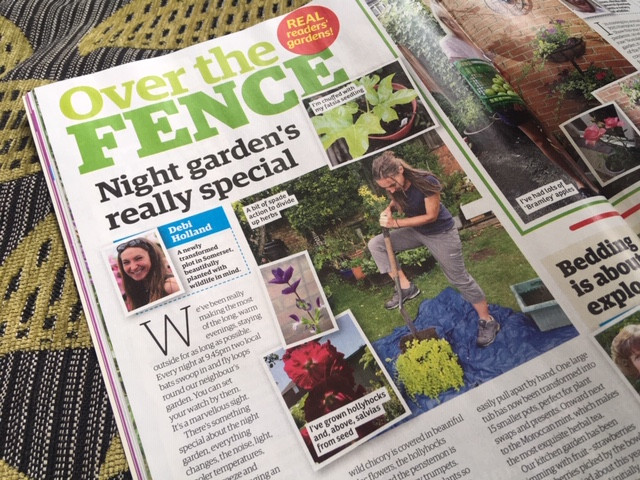 Over the Fence article 25 July 2020