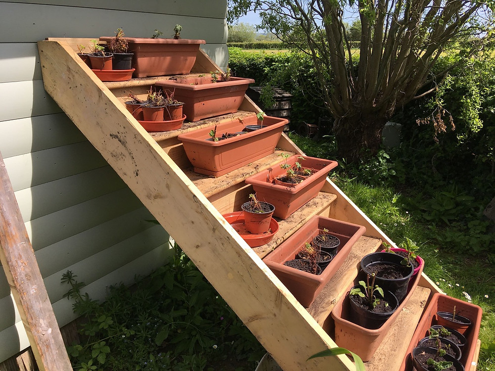 Elevate pots so easily accessible