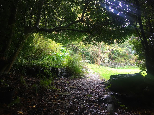 Secret garden