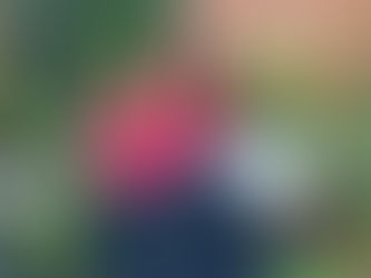 Garden News Magazine October