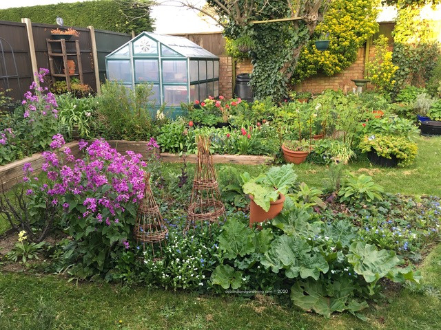My garden in April 2020