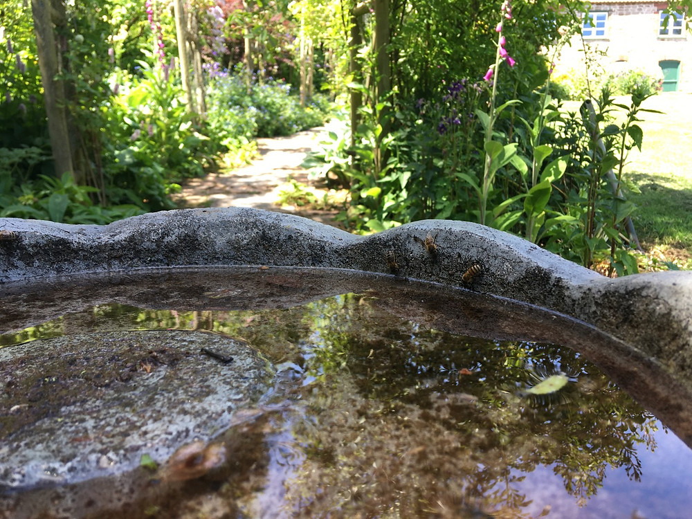 Bee bath