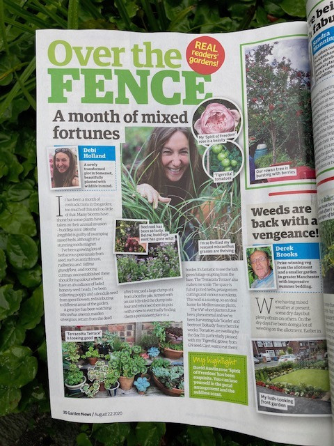 My August garden article in 'Over the Fence' Garden News magazine