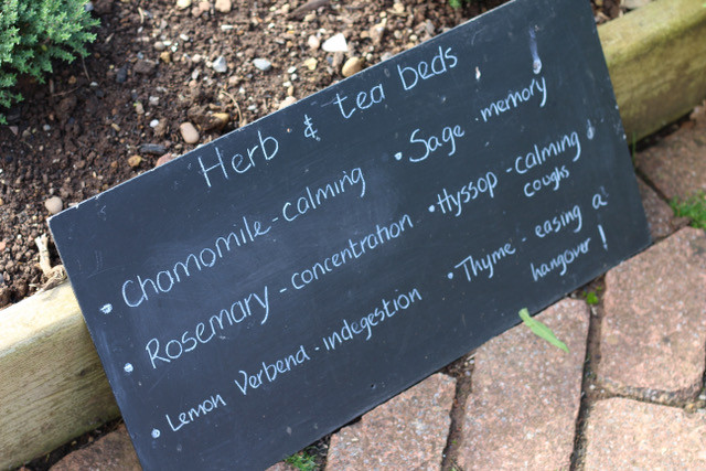 Herbal tea garden