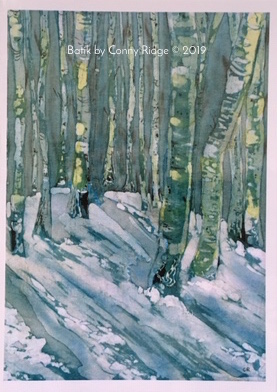 Aspen trees in snow by Conny Ridge