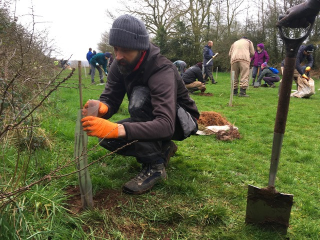 Adding protection to the young tree