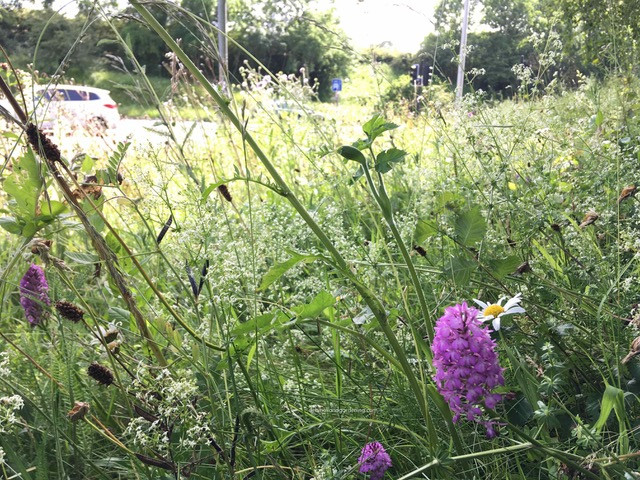 St Georges Flower Bank