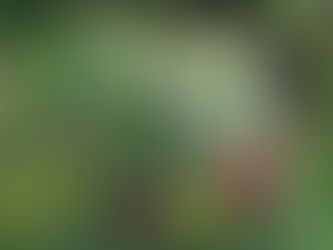 June - Gardening Jobs