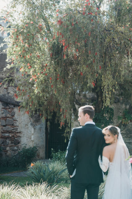 Beautiful tree in the garden with bride and groom