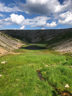 20240726_111026817_iOS