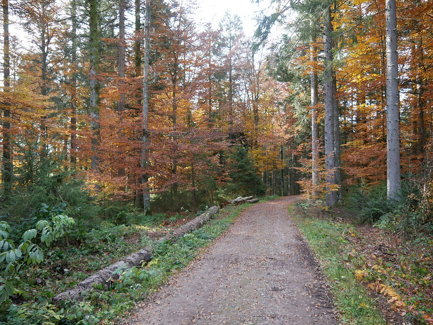 P1000318.JPG