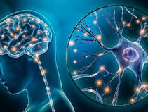 ما هي ظاهرة تناقض الاشعات مع الفحص والاعراض Clinico Radiological paradox