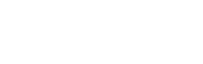 Taloushallintoliiton auktorisoima