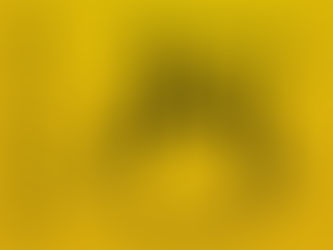 Abiding in Joy (John 15:11)