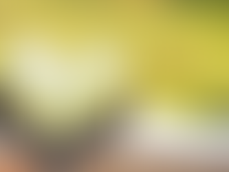 The Most Important Four-Letter Word - LOVE (1 John 2:15-17)