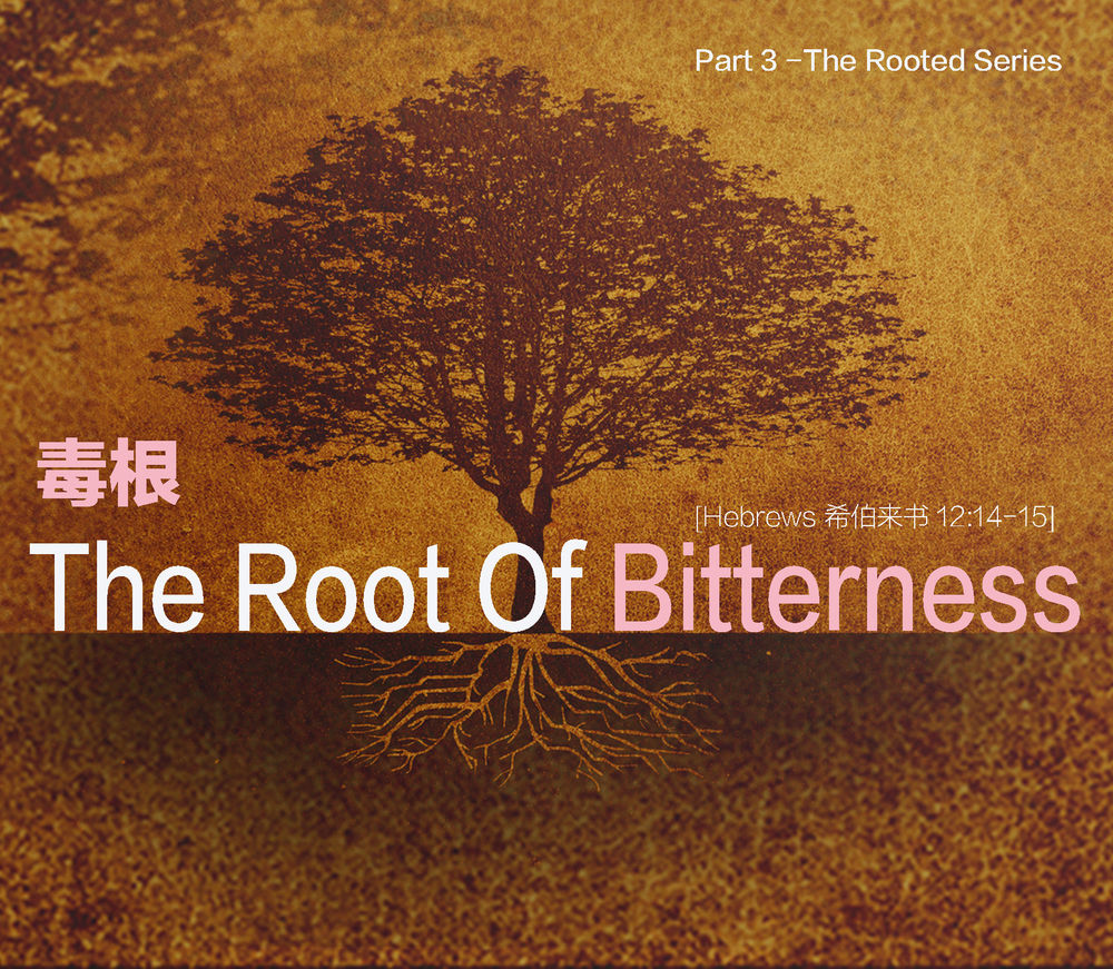 The Root of Bitterness (Hebrews 121415)