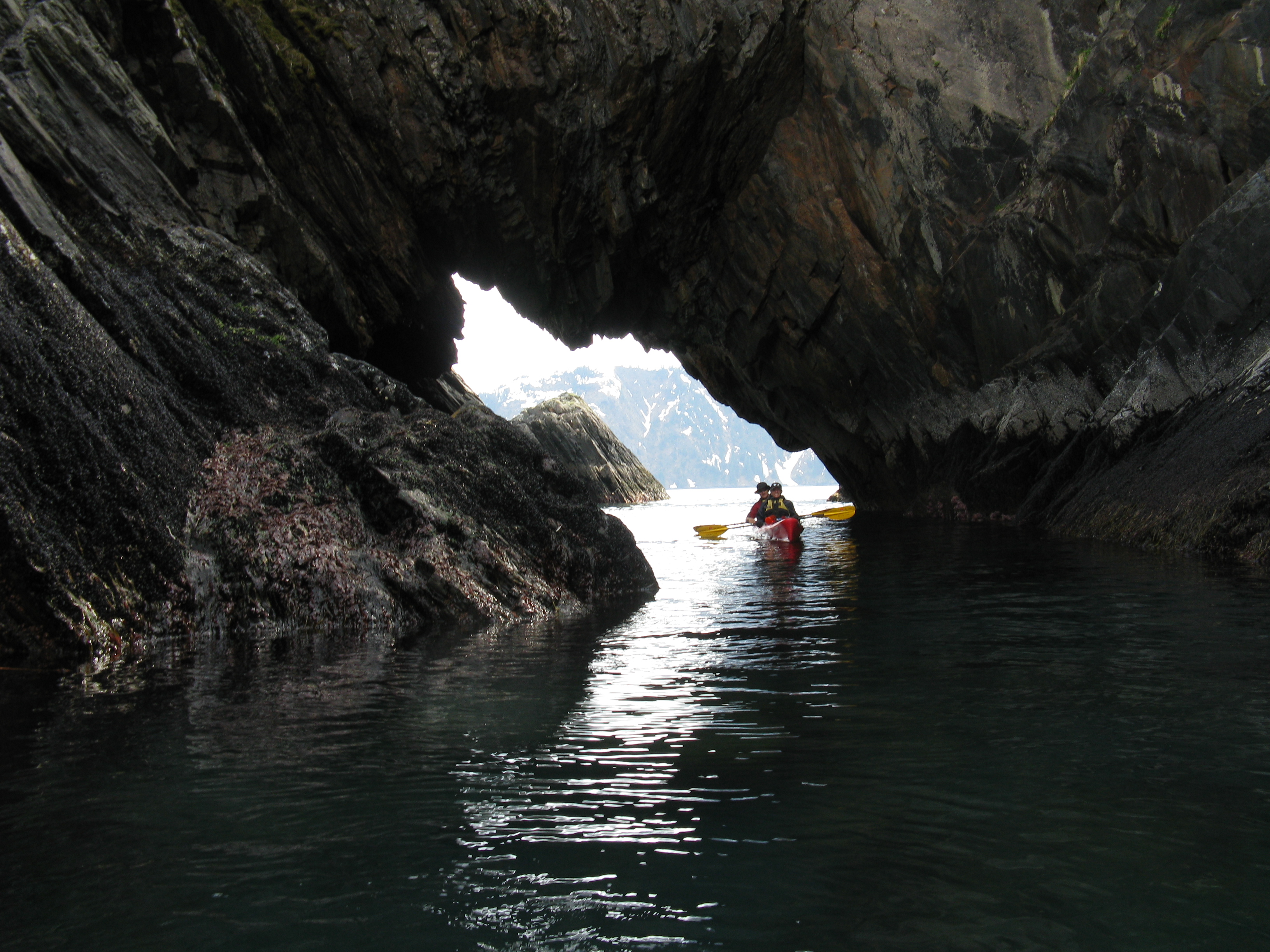 Aialik Glacier Multi Day Kayaking / Adventure Sixty North