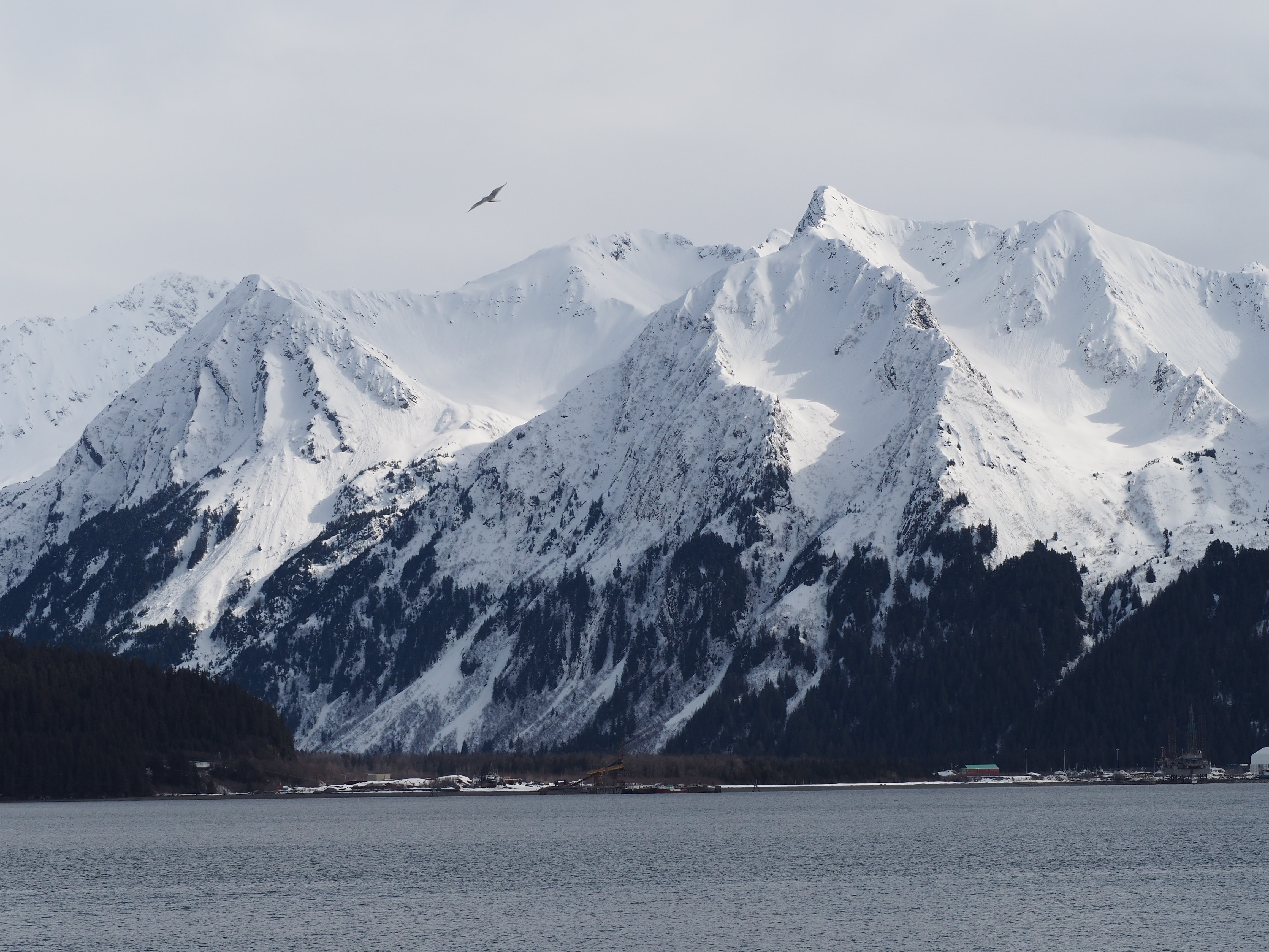 Winter and Spring Kayaking 2021