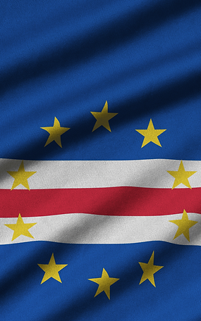 Website Graphic - CV Flag.png