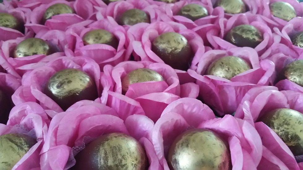 12755431_1026337340770131_1370070678_o