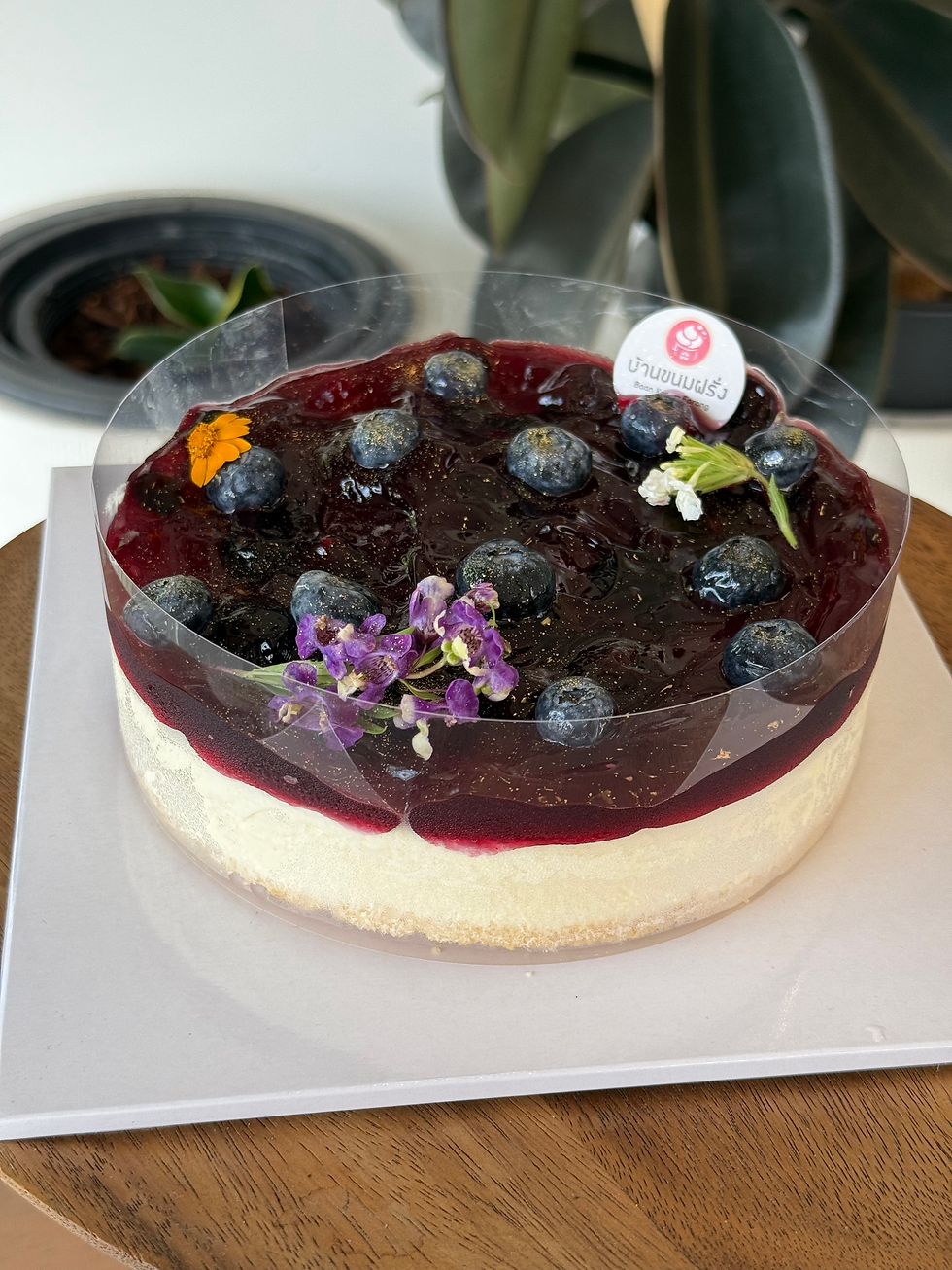 Blueberry Cheesepie image