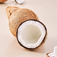 Coconut.png