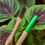 Thumbnail: Bamboo Toothbrush - Stellar