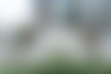 wedding styling guide