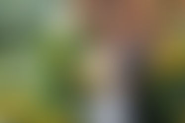 Intimate wedding in Malaysia – Let’s make it memorable. 