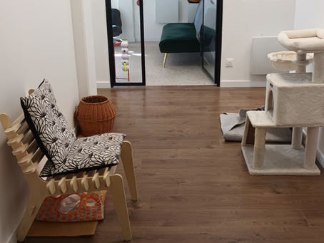 Comparatif Hôtel pour chat à Lille